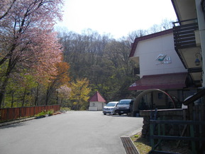 IMGP0498