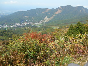 DSCN7672