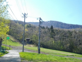 IMGP0529