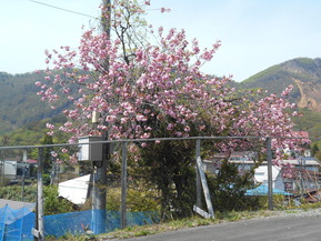 DSCN1850
