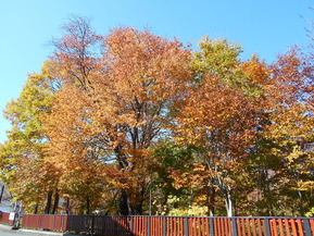 DSCN3298