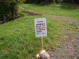 a99d1d24.jpg