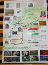 DSCN6916