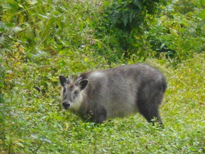 IMGP6694