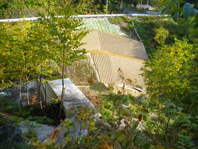 IMGP7030