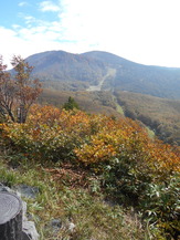 DSCN1224