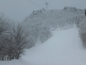 DSCN0331
