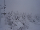 b1474a81.jpg