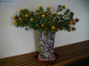 IMGP1172