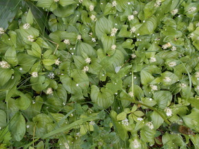 DSCN0730