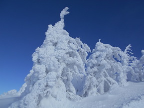DSCN0219