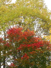 DSCN1289