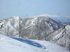 IMGP8950