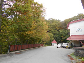 DSCN1250