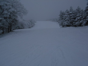 DSCN1865