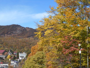 DSCN1345