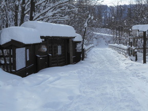 DSCN0231