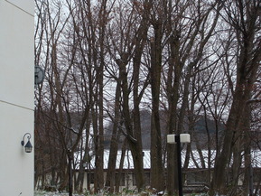 DSC07628