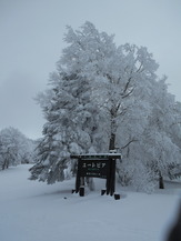 DSCN8713