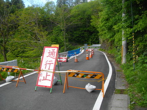IMGP5233