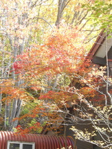DSCN1342