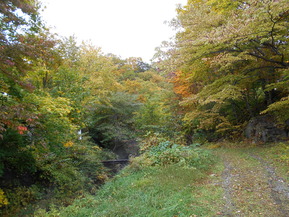 DSCN3193