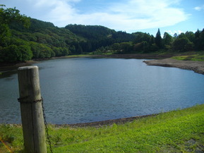 IMGP6360