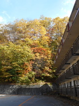 DSCN1330