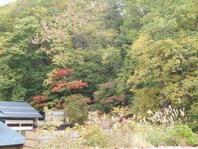 DSCN1271