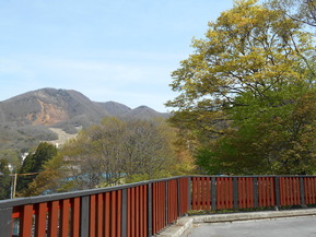 DSCN6516