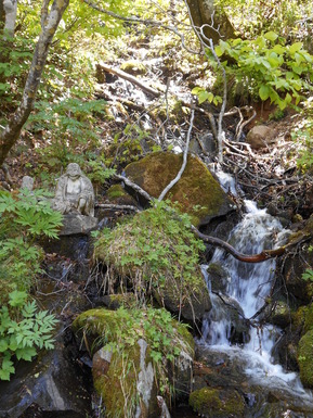 DSCN2072