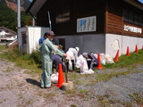 c8739d50.jpg