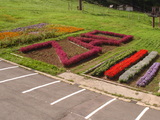 c8dce8f3.jpg