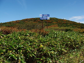 DSC00178