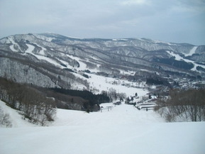 IMGP8973