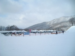 IMGP8556