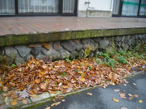 IMGP7063