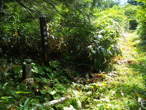 IMGP6214