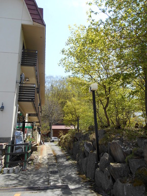DSCN1817