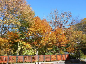 DSCN7754