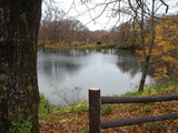 d264921a.jpg