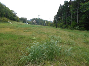DSCN7682