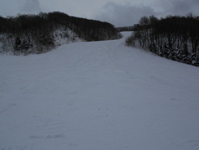 DSCN0390