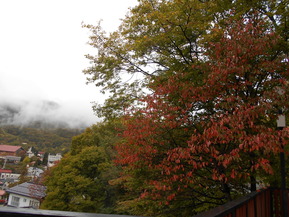 DSCN1261