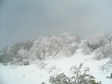 d4bde709.jpg