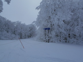 DSCN0068
