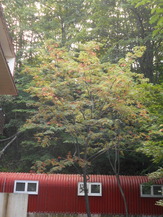 DSCN1062