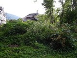 d6465a1b.jpg