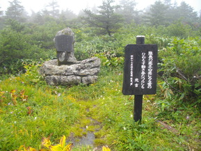 IMGP6075