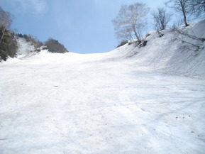 IMGP4686